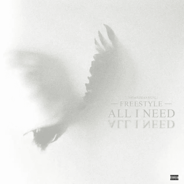 王以太 / 俞天时 / GALI《ALL I Need Freestyle》封面